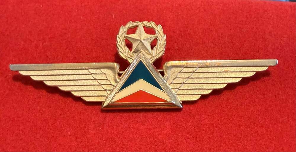 Vintage Delta Air Lines First Officer Pilot Wings Pin 4th Issue